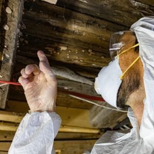 Asbestos project in Greater Sudbury